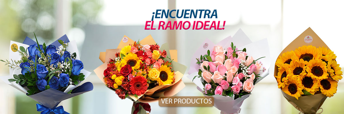 Hermosos Girasoles
