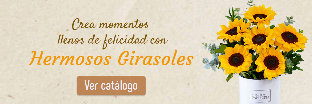 Encuentra el ramo ideal